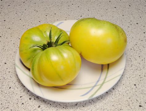 Azoychka Tomato Solanum Lycopersicum 15 Seeds