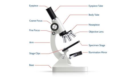 15 Cara Menggunakan Mikroskop Dan Bagiannya Tokopedia Blog