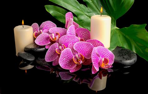Wallpaper Drops Flowers Leaf Candles Orchids Spa Stones Images For