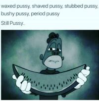 Waxed Pussy Shaved Pussy Stubbed Pussy Bushy Pussy Period Pussy Still Pussy Meme On Me Me