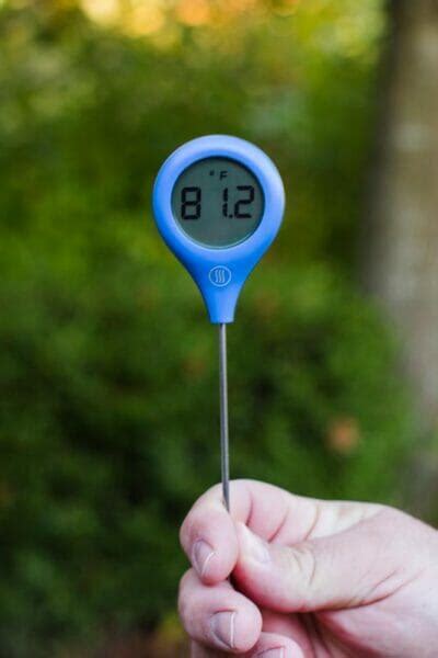 The Best Instant Read Thermometer Of 2022 Expert Reviews