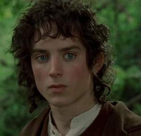 Why Frodo Baggins Is Making An Appearance In The Hobbit