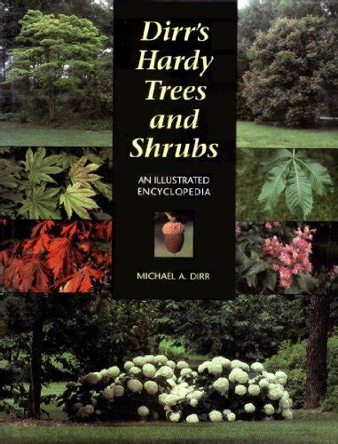 Dirr S Hardy Trees And Shrubs An Illustrated Encyclopedia By Dirr