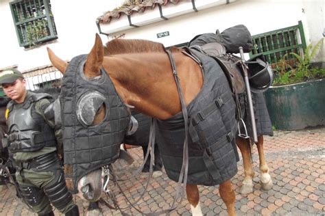 Mikes Bogota Blog Armored Horses And Armored Riders