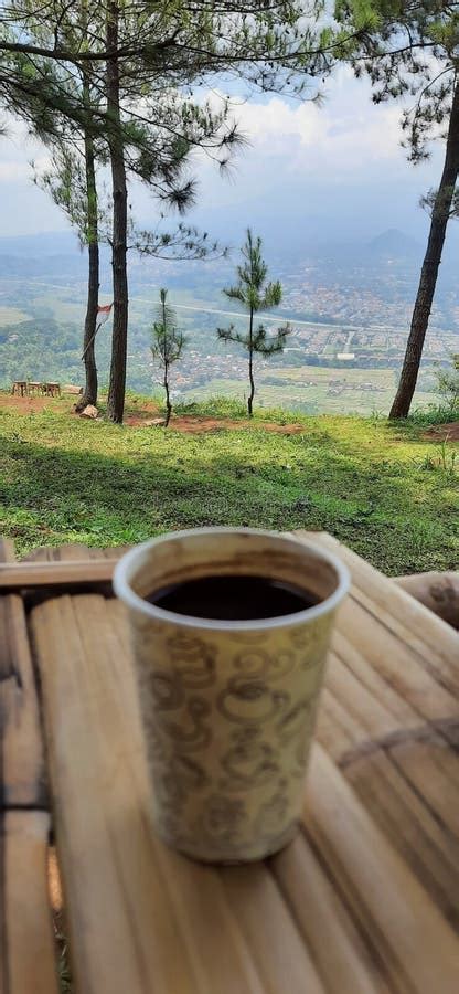 Coffee In Paper Cups And Nature Landscape Stock Image Image Of Coffee