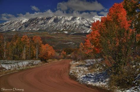 11 Country Roads In Colorado That Are Pure Bliss In The Fall Colorado
