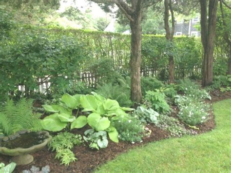 45 Shade Garden Ideas Under Trees Silahsilahcom Garden Ideas Shade