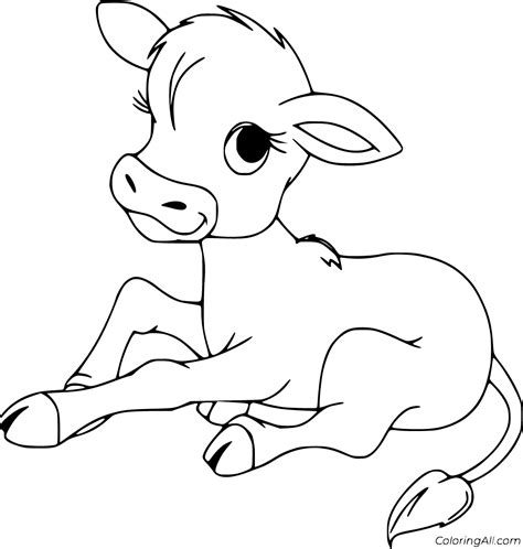 Calf Coloring Pages 22 Free Printables Coloringall