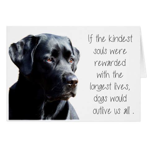 Black Lab Sympathy Card Dog Sympathy Pet Loss