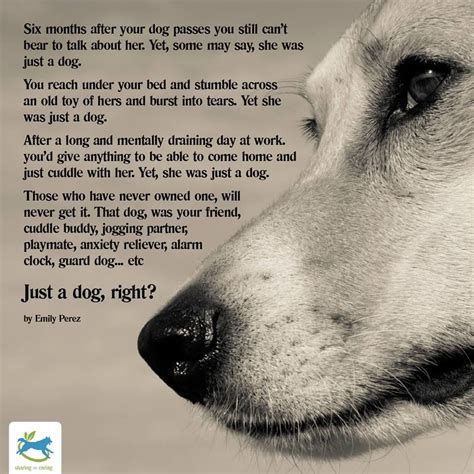 From Dogs Naturally Magazine Fb Page Dog Poems Dogs Dog Love
