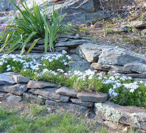 Explore our huge selection today! How to Design a Rock Garden: Landscaping With Rocks and ...