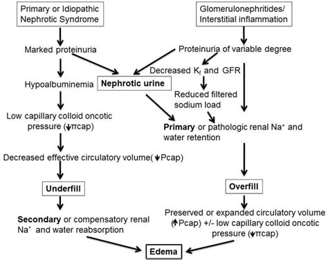 Frontiers Pathophysiology Evaluation And Management Of Edema In