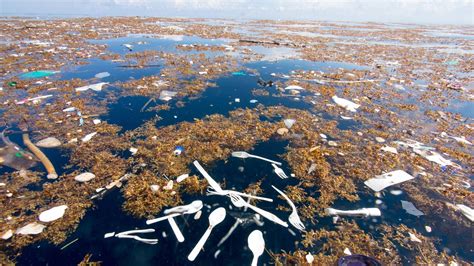 Shocking Photos Emerge Of Sea Of Plastic Climate News Sky News