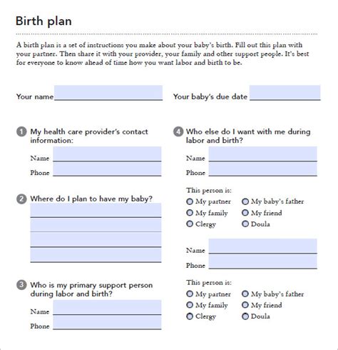 9 Birth Plan Templates Free Samples Examples And Format Sample