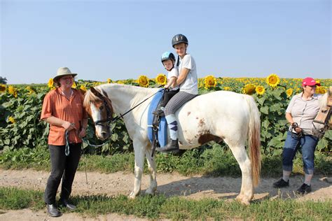 Attraktive mietshäuser zur miete ✓ in braunschweig & umgebung eine passende immobilie mit guter lage finden ✓ entscheiden sie sich zwischen reihenhaus, einfamilienhaus, doppelhaushälfte. Josh unser Pferd - Kinderheim Haus Regenbogen