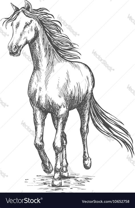 Dogecoin's soaring value reduce the cr. Horse Pencil Drawing - The model for our drawing was ...