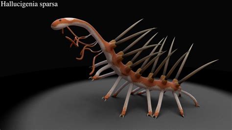 The 12 Strangest Animals Of The Cambrian Period