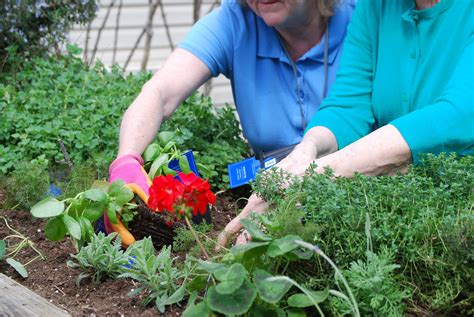 More Therapeutic Horticulture Programming Ideas For Spring Eat