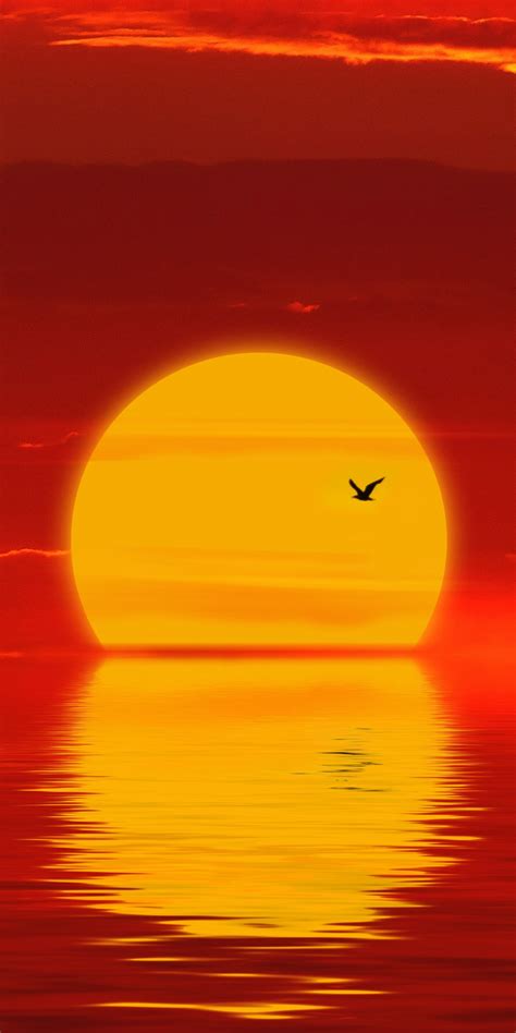 Download Wallpaper 1080x2160 Sun Sunset Minimal Silhouette Honor 7x