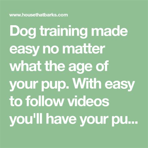 Dog Training Made Easy No Matter What The Age Of Your Pup With Easy To