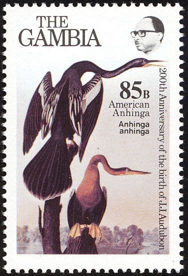 Anhinga Stamps Mainly Images Gallery Format Stamp Bird Stamp Gambia