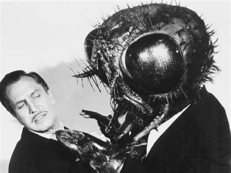 Return Of The Fly 1959 Edward Bernds Synopsis Characteristics