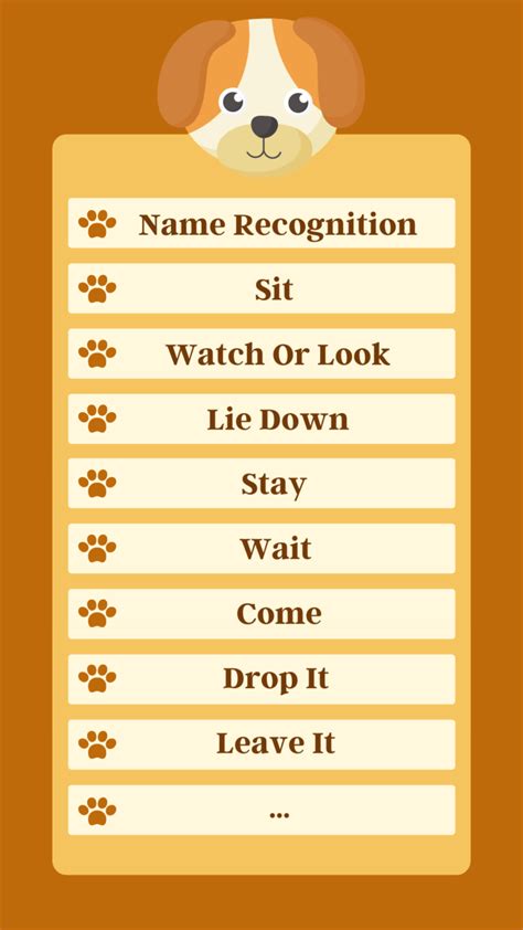 Dog Training Commands List 2024 Basic To Advanced