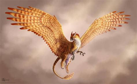 Golden Gryphon By Azany On Deviantart