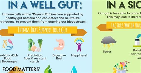 Hands Down The Most Effective Ways To Love Your Gut Infographic