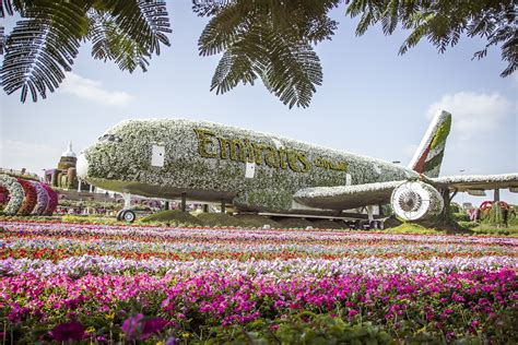 Miracle Garden à Dubaï Visitez Le Plus Grand Jardin De Fleurs Au Monde