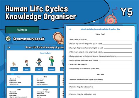 Year 5 Science Animals Including Humans Knowledge Organiser Life