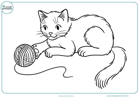 Dibujos Para Colorear Gatos