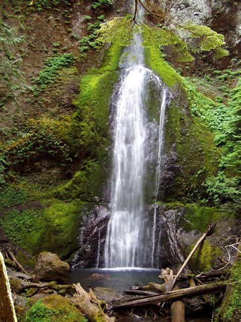 Marymere Falls Washington Favorite Places Outdoor Places
