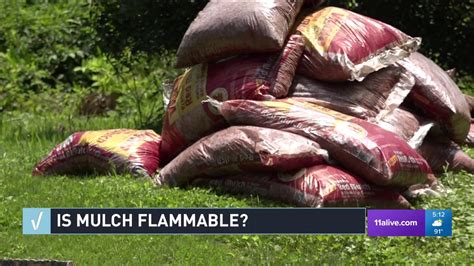 Can The Mulch In Front Of Your House Spontaneously Combust YouTube