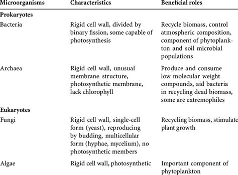 Comparison Of The Main Types Of Microorganisms Download Table