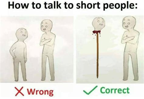 I walked into the living room, which was across the hall from the. 22 How To Talk To Short People Memes