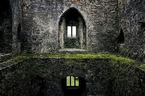 Interior De Blarney Castle Castle Blarney Castle Ireland Beautiful