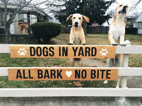 19 Funny Dog Signs That Will Make Every Dog Lover Smile