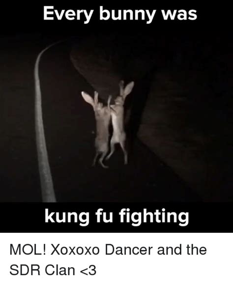 Every Bunny Was Kung Fu Fighting Mol Xoxoxo Dancer And The Sdr Clan