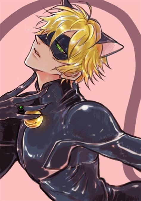 Pin By Helier On Miraculous Tales Of Ladybug And Chat Noir