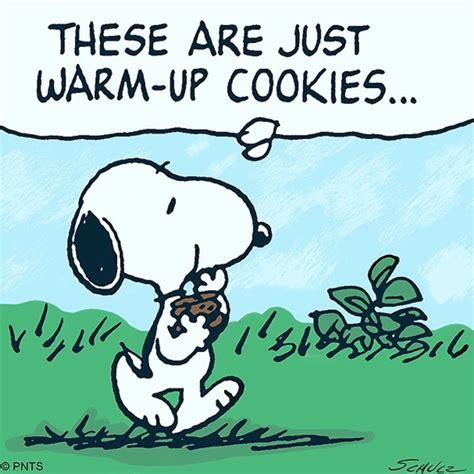 Pin By Scott Jerden On Snoopy Snoopy Quotes Snoopy Cartoon Snoopy Funny