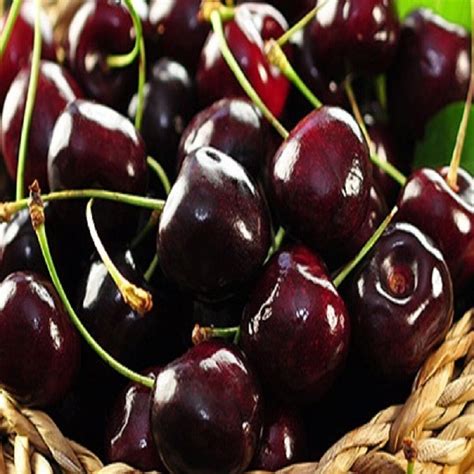 Black Cherry Fragrance Oil Candlesoap Making Supplies Free Shipping Ebay