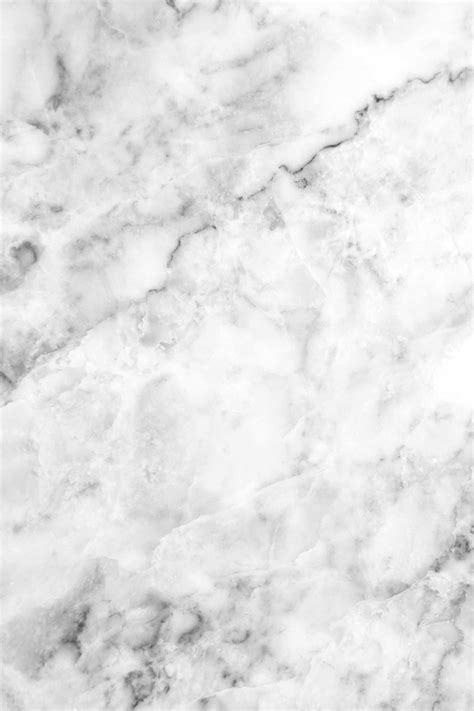 Snow White Marble Floor With Black Line Texture Old Master