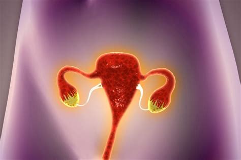 Scientists Create ‘artificial Ovary That Could Help Women Conceive