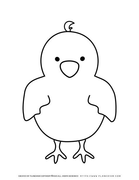 Baby Chick Coloring Coloring Pages