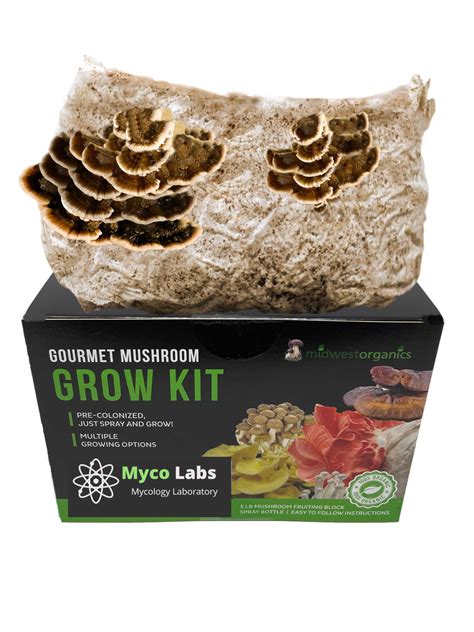 turkey tail mushroom grow kit 5lbs