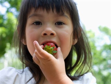 Fruit Meisje Eet Aardbei Welkom Bij Van Gilse