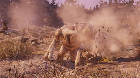 Enraged Grafton Monster The Vault Fallout Wiki Everything You Need To Know About Fallout 76