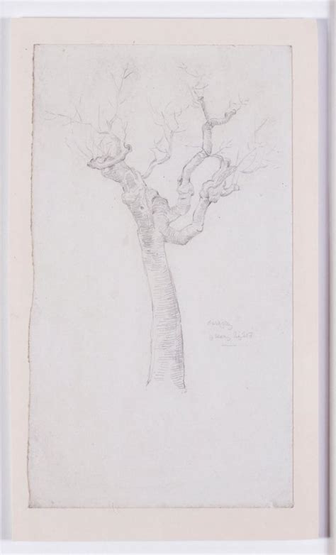 Evelyn De Morgan British 1855 1919 A Twisted Tree Study Bada