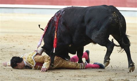 Bullfight Goes Horrifyingly Wrong For Matador As He Is Crushed